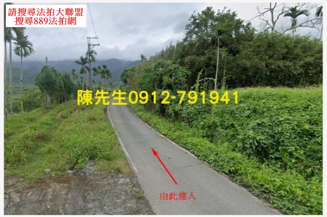 玉里山坡地拍賣-10