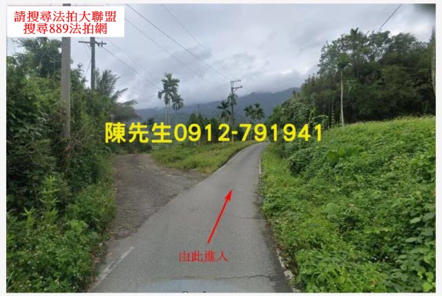 玉里山坡地拍賣-11
