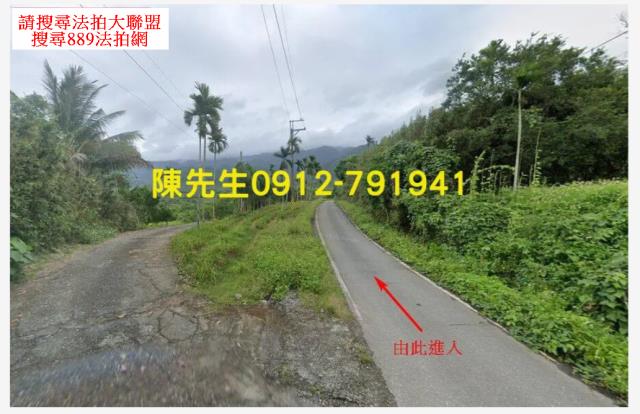玉里山坡地拍賣-12