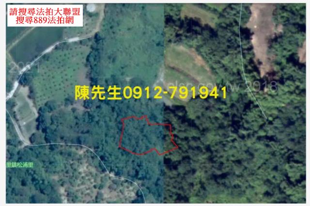 玉里山坡地拍賣-7