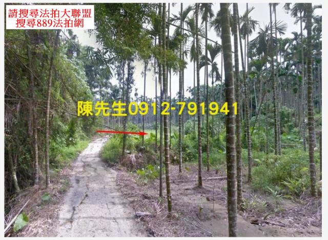 嘉義農地拍賣-13