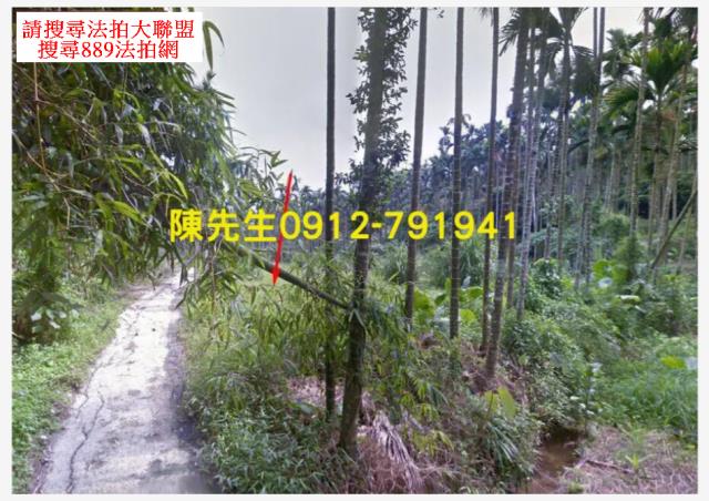嘉義農地拍賣-1