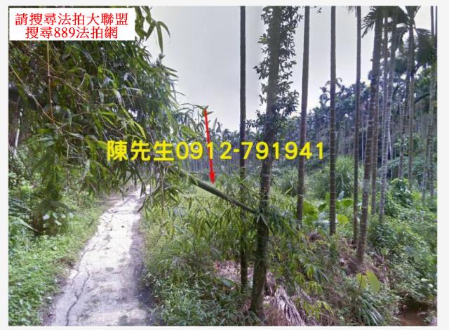 嘉義農地拍賣-2