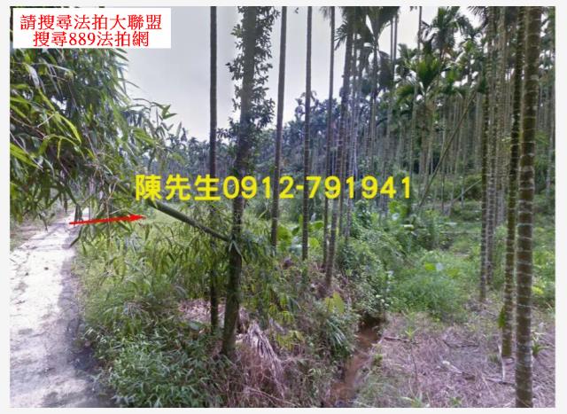 嘉義農地拍賣-3