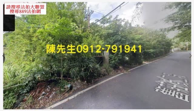 南港種菜地法拍-1