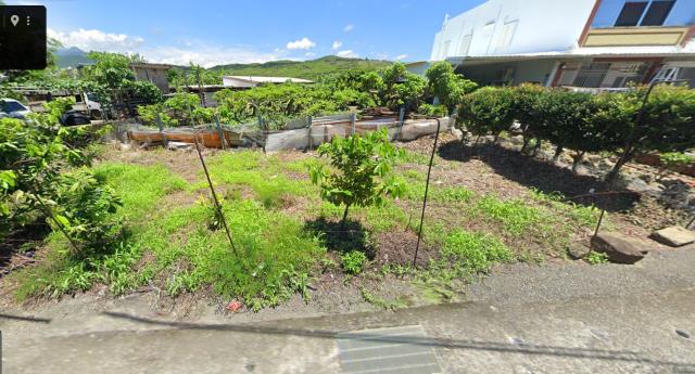 車城法拍建地-1