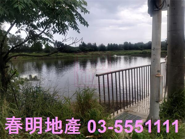 新竹竹北養殖地-6