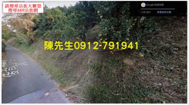 峨眉拍賣農地-9