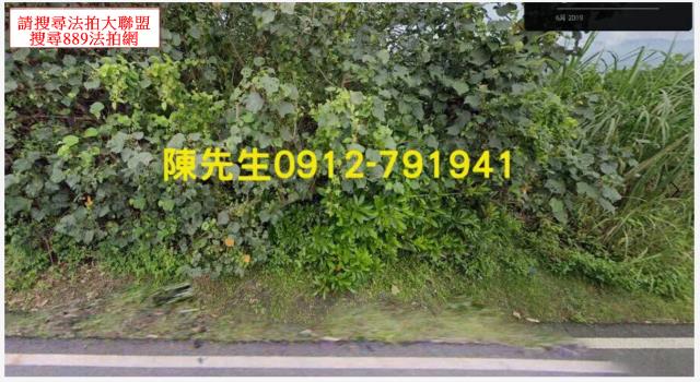 宜蘭壯圍法拍農地-2