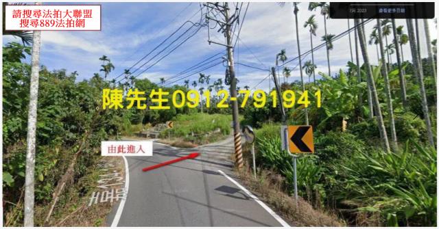 嘉義中埔農地拍賣-3