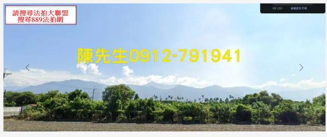 屏東高樹種菜地法拍-9