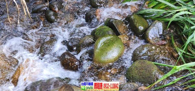 新竹芎林農地-10