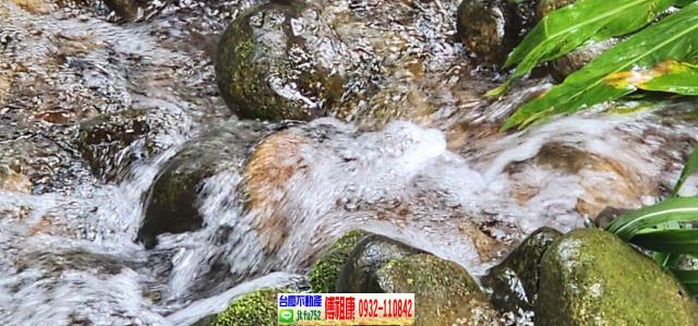 新竹芎林農地-11