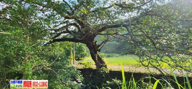 新竹芎林農地-12
