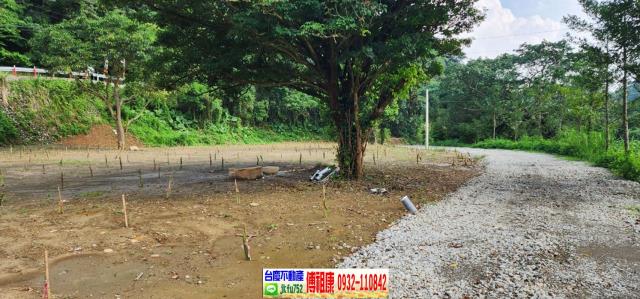 新竹芎林農地-3