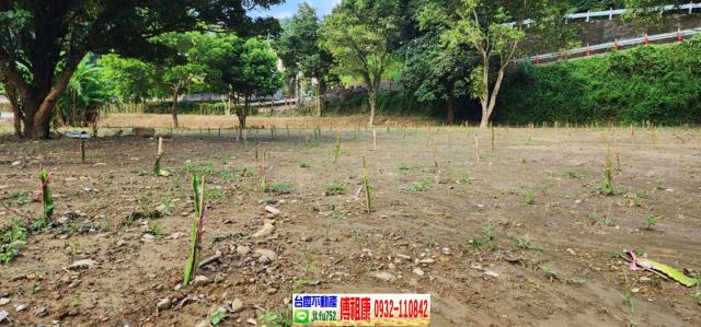 新竹芎林農地-7