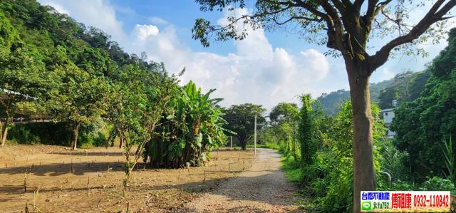 新竹芎林農地-8