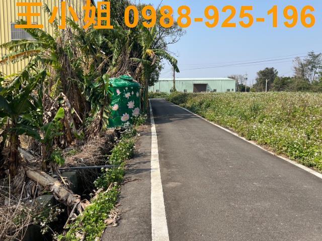 桃園觀音農地-1