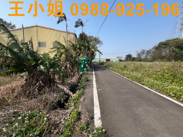 桃園觀音農地-2