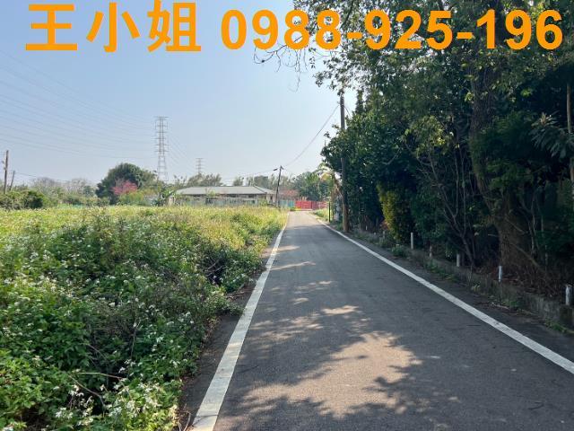 桃園觀音農地-3