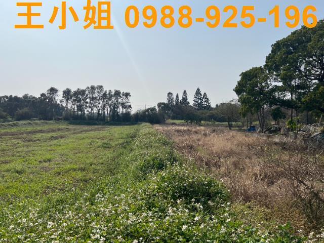 桃園觀音農地-5