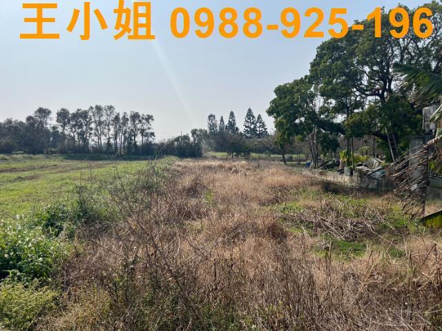 桃園觀音農地-6