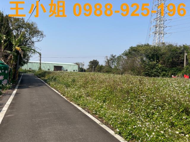 桃園觀音農地-7