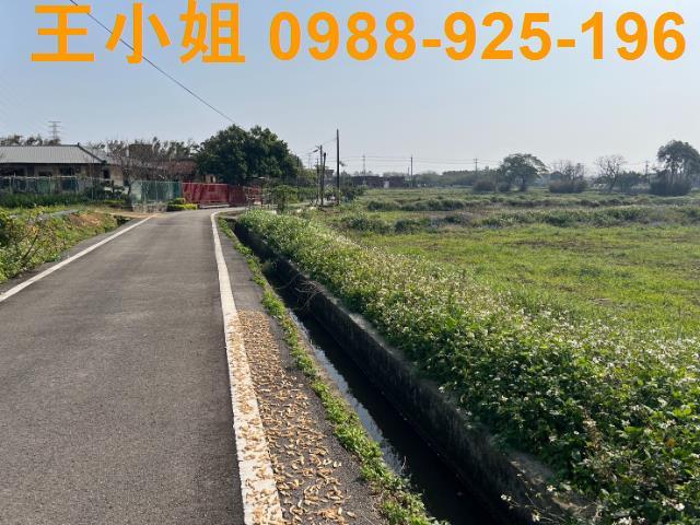 桃園觀音農地-8