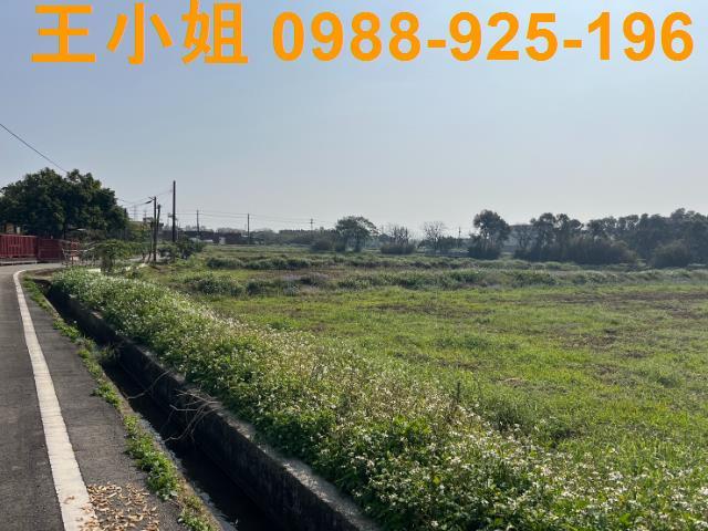 桃園觀音農地-9