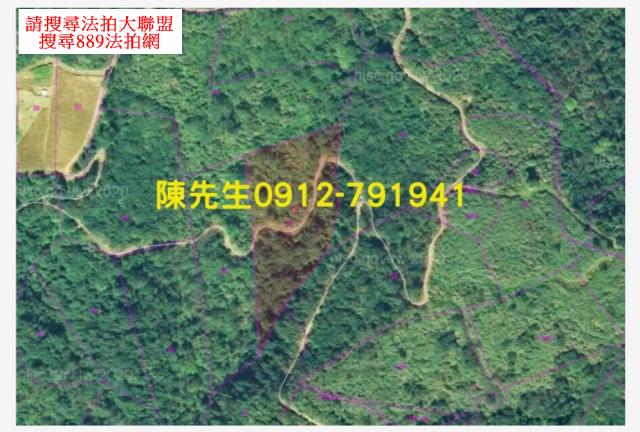 宜蘭大同拍賣農地-4