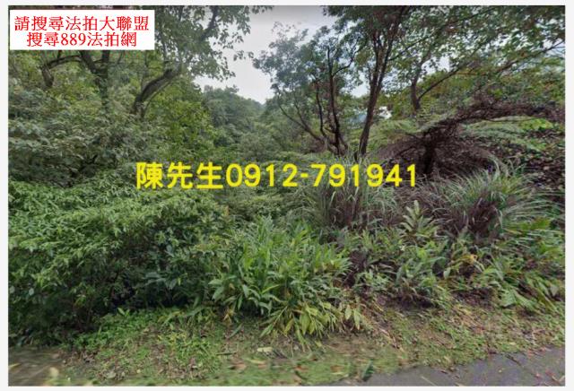 新北汐止拍賣山坡地-10