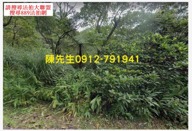 新北汐止拍賣山坡地-11