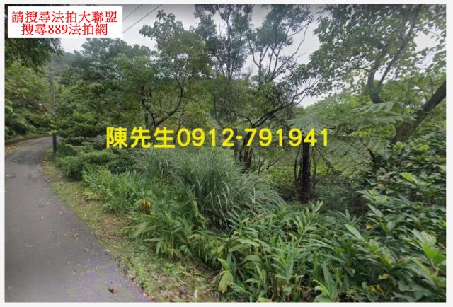 新北汐止拍賣山坡地-13