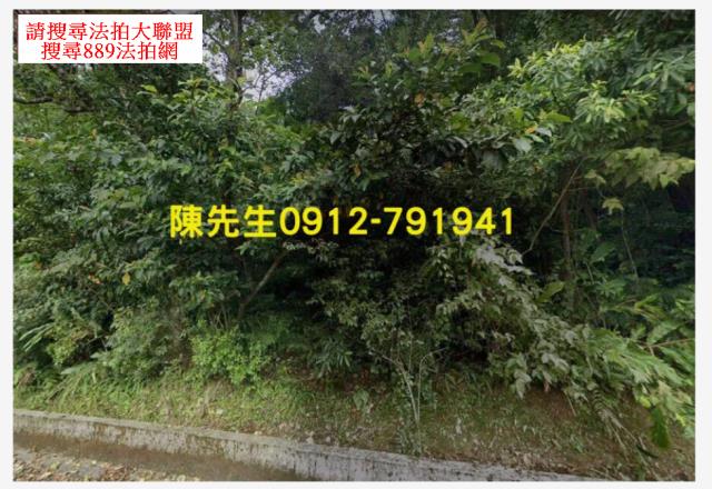 汐止法拍山坡地-1