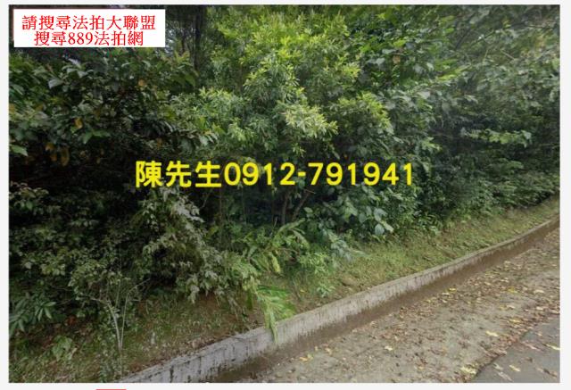 汐止法拍山坡地-3
