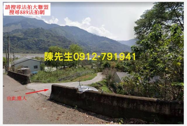 泰安拍賣農地-10