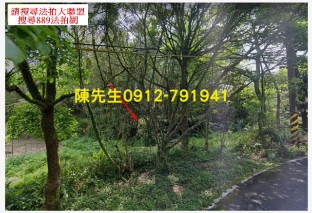 平溪法拍農地-1
