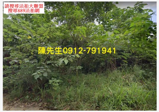 屏東三地門農地法拍-10