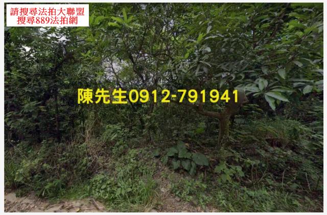 屏東三地門農地法拍-2