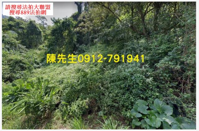 屏東三地門拍賣農地-11