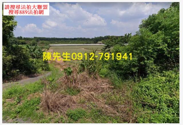 屏東三地門法拍農地-5