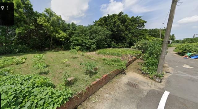 朴子農地法拍-11