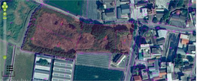 朴子農地法拍-4