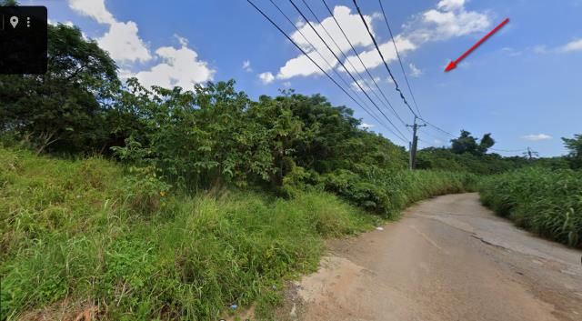 平鎮法拍農地-11