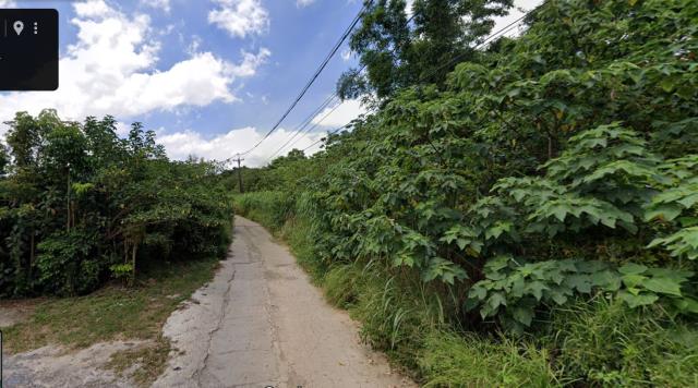 平鎮法拍農地-8