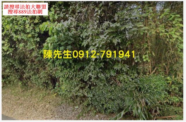 復興農地法拍-2