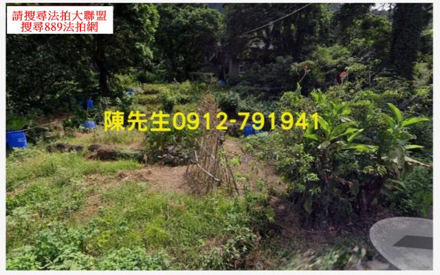 新北淡水農地-6