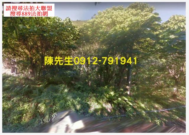 花蓮秀林建地法拍-10