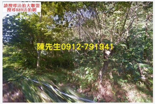 花蓮秀林建地法拍-12