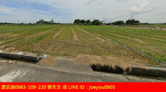 布袋農地法拍-1